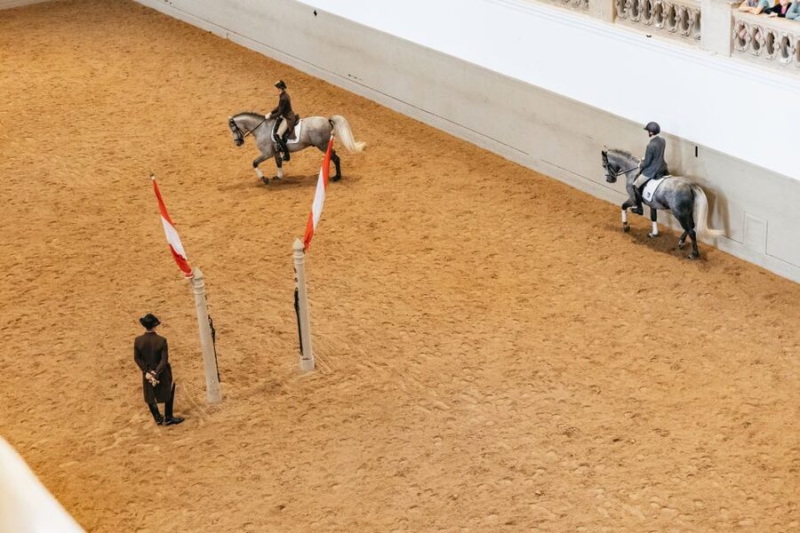 Vienna: Spanish Riding School Training - Haute école moves: levade, courbette, and capriole are often the bonus