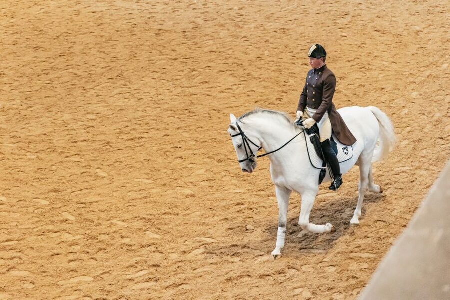 Vienna: Spanish Riding School Training - Practical planning: tickets, rules inside, and how to avoid frustration
