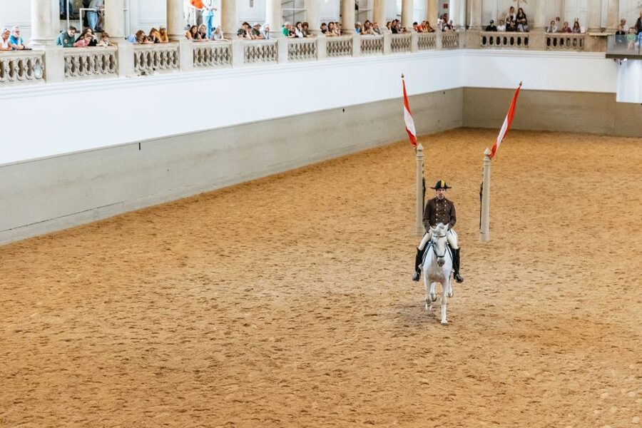 Vienna: Spanish Riding School Training - Who should book this, and who should consider the full show instead