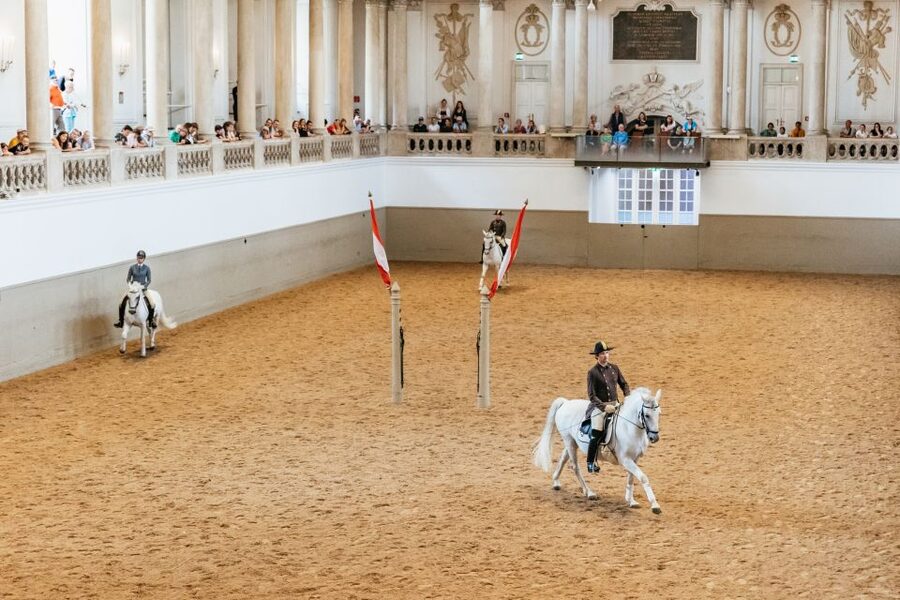 Vienna: Spanish Riding School Training - Entering the Winter Riding Academy: views, stairs, and what you can hear