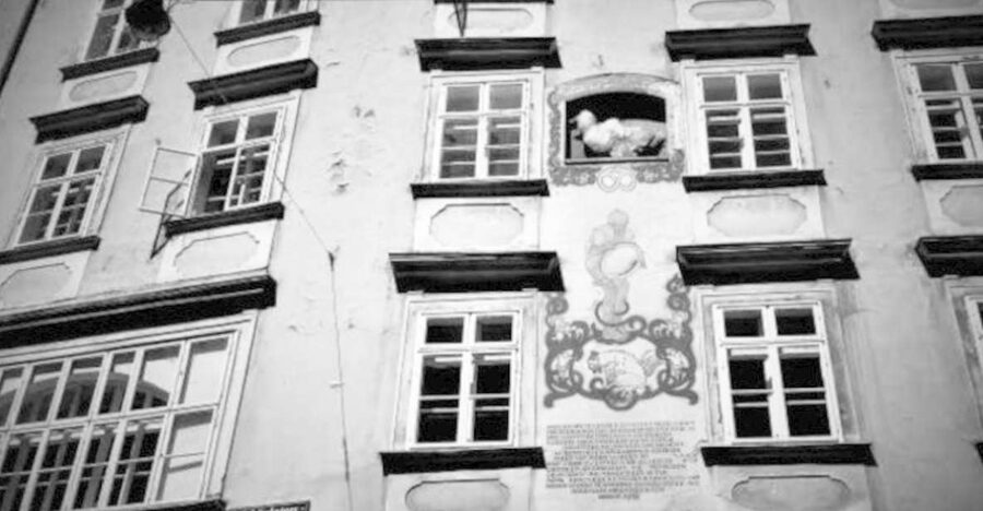 Vienna: Spooky Ghost Tour in English - Quick takeaways before you go