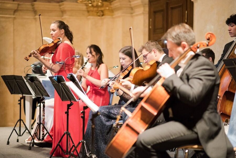 Vienna Supreme Orchestra at Palais Niederösterreich - Who This Concert Suits Best (And Who Might Want Another Option)