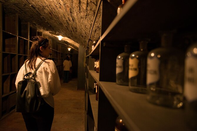 Vienna Underground Guided Walking Tour - The Guide and the Phone Audioguide: How You Get the Stories