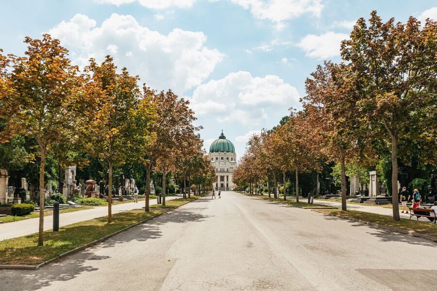 Vienna: Vienna Central Cemetery Guided Walking Tour - Why the guide makes or breaks this tour (Johann is a standout)