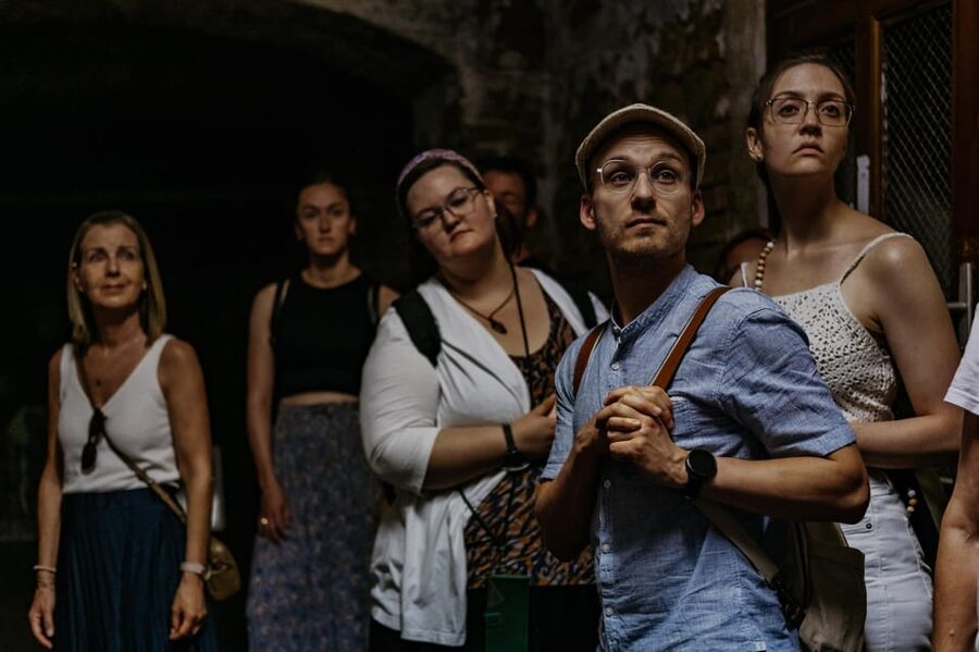 Vienna: Viennese Underworld Guided Walking Tour - The price that includes access, guide time, and entry fees