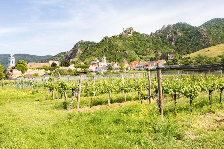 Vienna: Wachau Valley, Melk Abbey Tour with Danube Boat Trip - Melk town free time, then the big stage: Melk Abbey