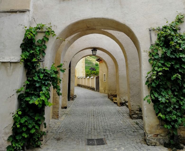 Vienna: Wachau Valley Private Kayak and Wine Tour - Value and price: is $882 per group up to 2 worth it?