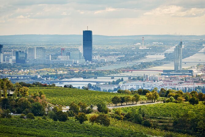 Vienna Wine Experience - What you actually taste: native grapes and the Gemischter Satz idea