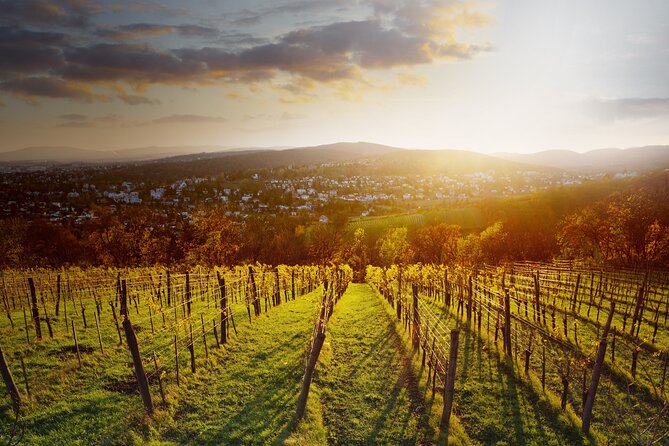 Vienna Wine Experience - Logistics that matter on wine days
