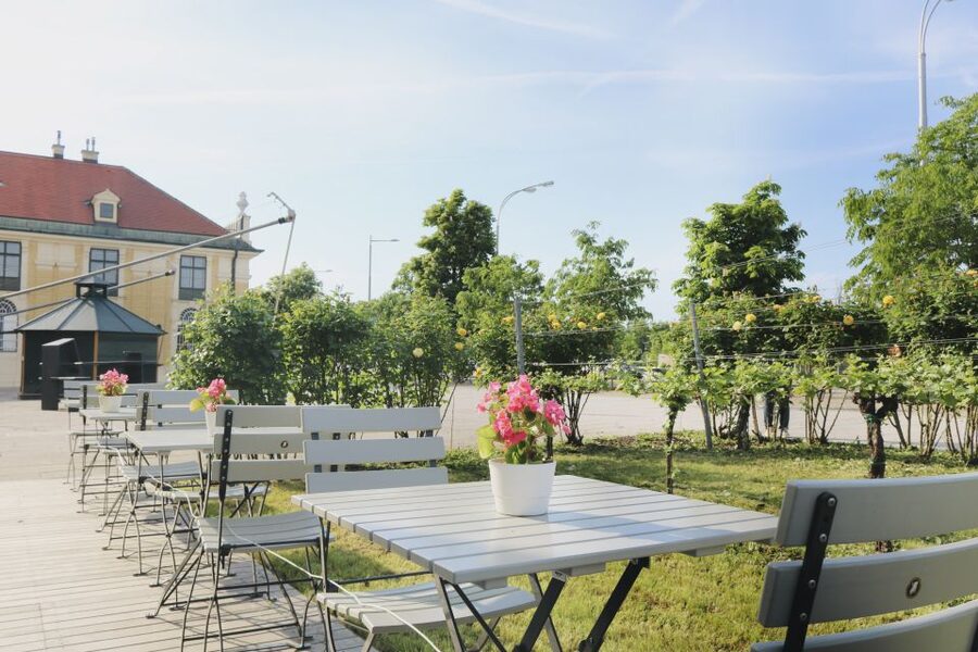 Vienna: Wine Tasting at Schönbrunn Palace - Who This Wine Tasting Is Best For