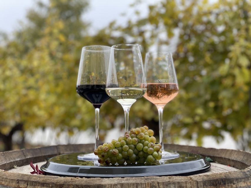 Vienna: Wine Tasting at Schönbrunn Palace - Meeting at Restaurant Joseph II, Then Getting Started Fast