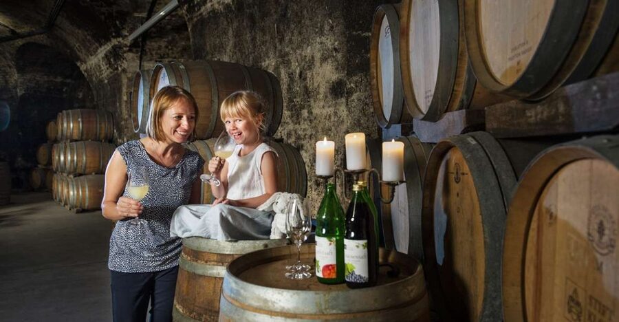 Vienna: Wine Tasting E-Bike Tour - Vienna to Klosterneuburg by e-bike: what makes the route special