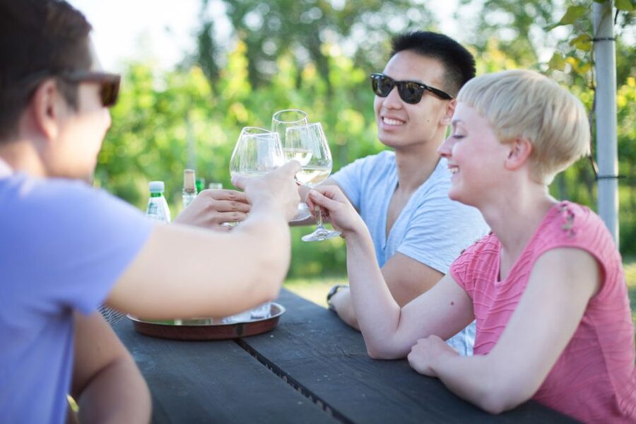 Vienna: Wine Tasting E-Bike Tour - E-bike comfort and fitness: what you need to know before you book
