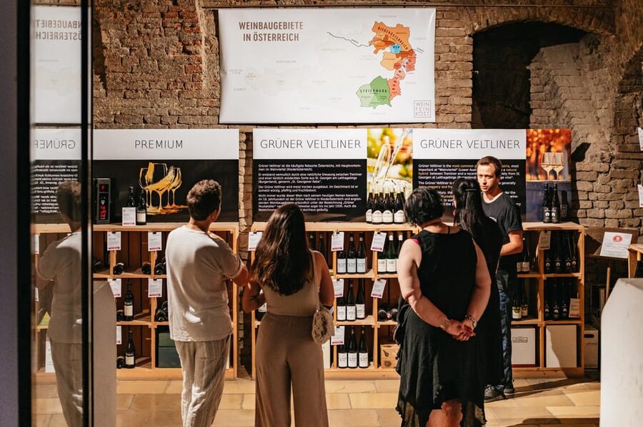 Vienna: Wine Tasting Experience in a Private Wine Cellar - The Wine Lineup and How the Tasting Moves