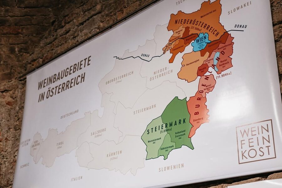 Vienna: Wine Tasting Experience in a Private Wine Cellar - Practicalities and Value: Is $22 a Fair Deal?