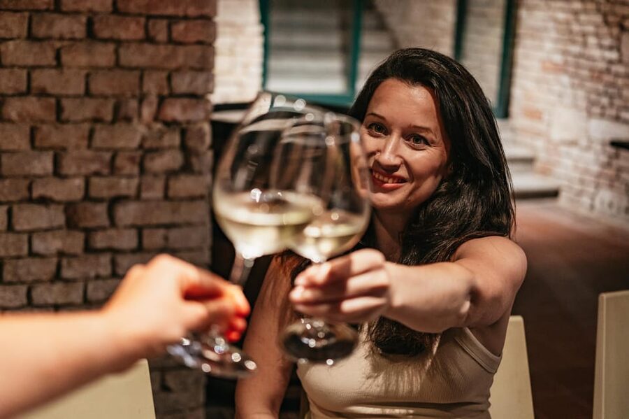Vienna: Wine Tasting Experience in a Private Wine Cellar - Who Should Book This (and Who Might Prefer Something Else)