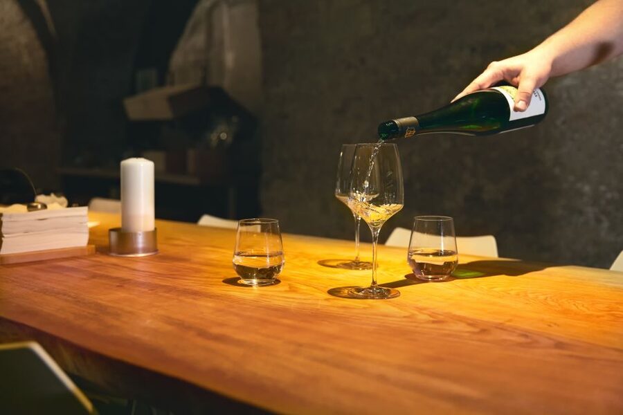 Vienna: Wine Tasting Tour - Key points you should know before you go