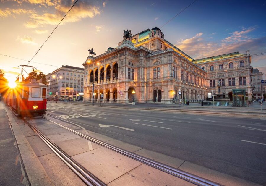 Vienna: Winery and Wine Tasting Tour with a Wine Expert - Vienna’s Wine Scene Makes Sense in a Real-Time Walk
