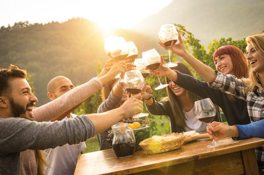 Vienna: Winery and Wine Tasting Tour with a Wine Expert - The 3-Hour Option: 5 Wines, Appetizers, and Old Town Landmarks