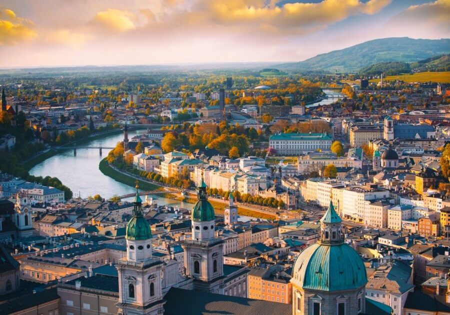 Vienna: Winery and Wine Tasting Tour with a Wine Expert - Pairings and Appetizers That Actually Support the Wine