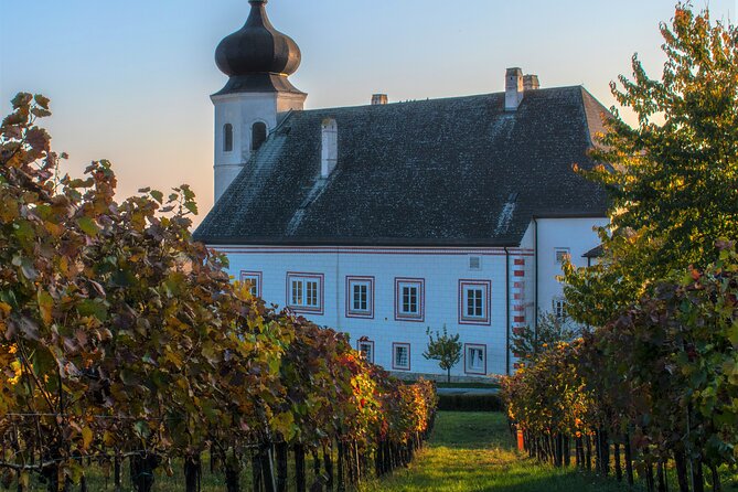 Vienna Woods Wine Tour - Wines, Vines & Good Times! - The Best Part: James Makes It Feel Personal