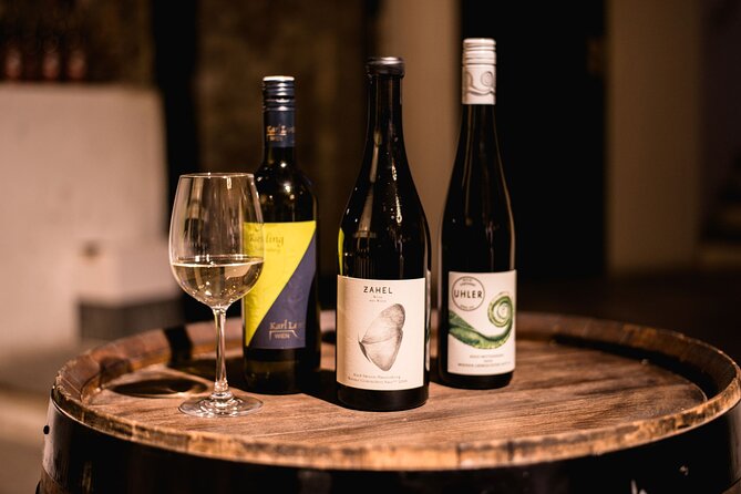 Viennese Wine Tasting in a Private Hidden Wine Cellar - Key things to know before you go