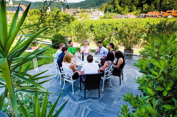 Wachau Valley Private Tour With Melk Abbey Visit and Wine Tastings from Vienna - Lunch and Timing: Winter Includes It, Summer Means Plan for It
