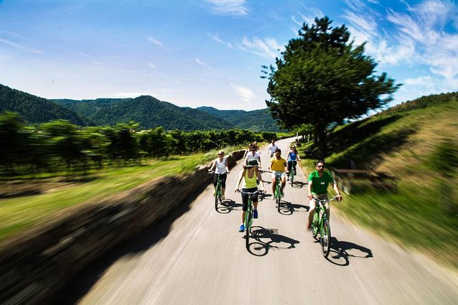 Wachau Valley Wine Tasting Bike Tour from Vienna - Richard the Lionheart fortress ruins, plus an optional Danube swim