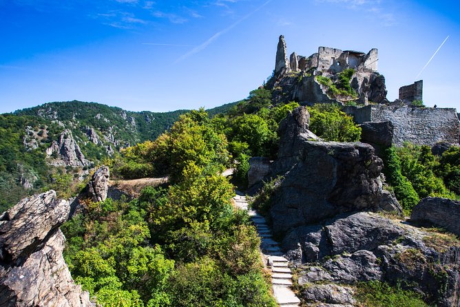 Wachau Valley Wine Tasting Bike Tour from Vienna - Who this tour is perfect for, and who should choose something else