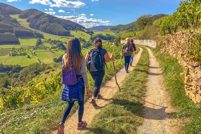 Wachau World Heritage Hike - Key highlights worth planning for
