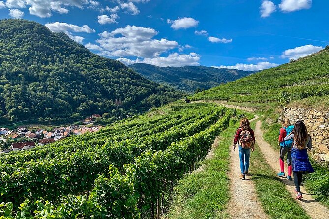 Wachau World Heritage Hike - Stop 1: Wachau Cultural Landscape, the walking context you’ll appreciate
