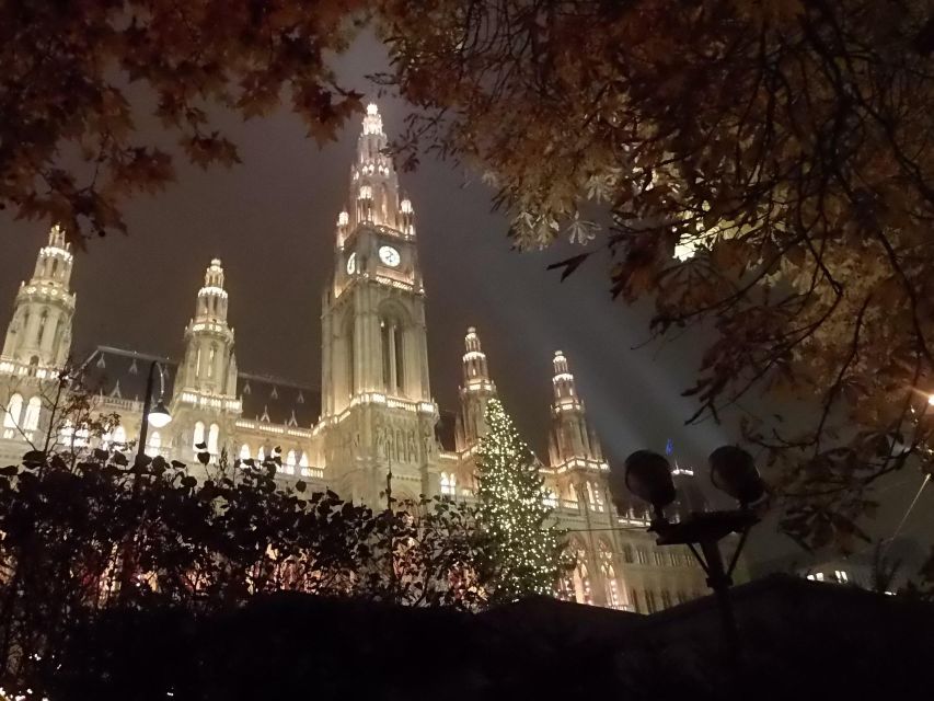 Wien: Tour with locals on the trails of the Christmas Tree - Why This Tour Works in December: Story + City Lights