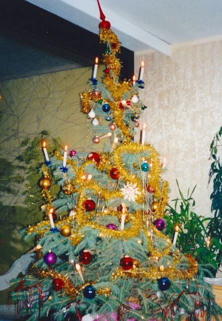 Wien: Tour with locals on the trails of the Christmas Tree - Rathausplatz: Where Holiday Lighting Meets Civic Vienna