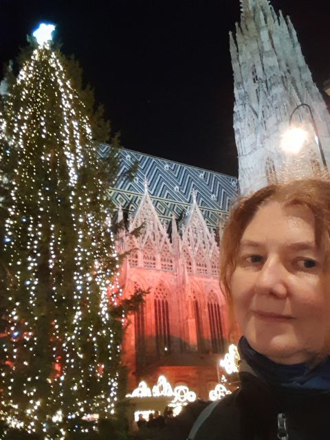 Wien: Tour with locals on the trails of the Christmas Tree - The Advent Markets Finish: Punch, Browsing, and Picking Your Ending