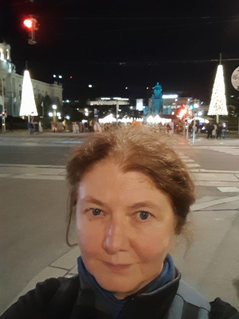 Wien: Tour with locals on the trails of the Christmas Tree - Price and Time: Is $62 Good Value for This Walk?