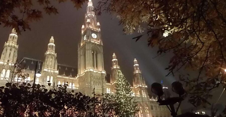 Wien: Tour with locals on the trails of the Christmas Tree - The Christmas Tree Tradition in Vienna, the Part You Might Not Expect