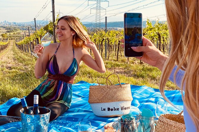 Wine Picknick overlocking vienna - What happens during the picnic, blanket time included