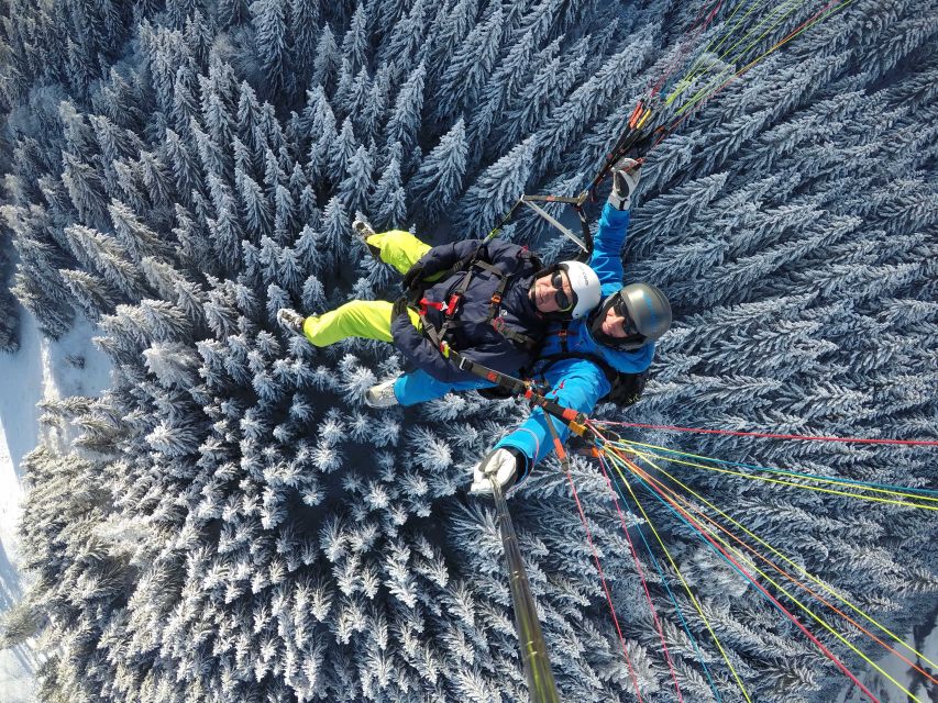 Zell am See: Schmittenhöhe Tandem Paragliding Flight - Price and value at about $187 per person
